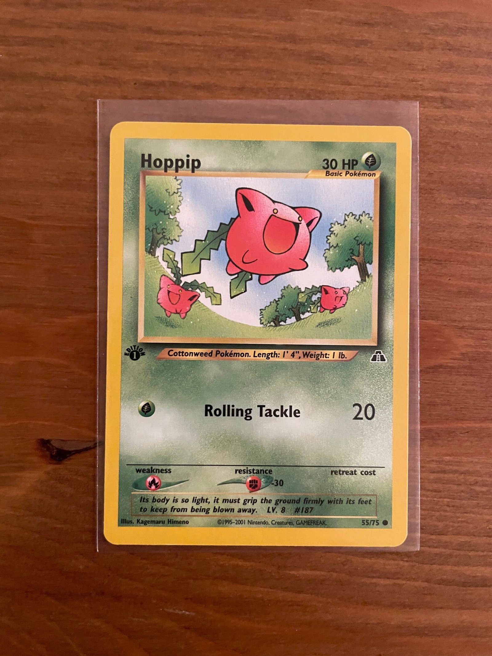 Hoppip - 55/75 - Common - 1st Edition