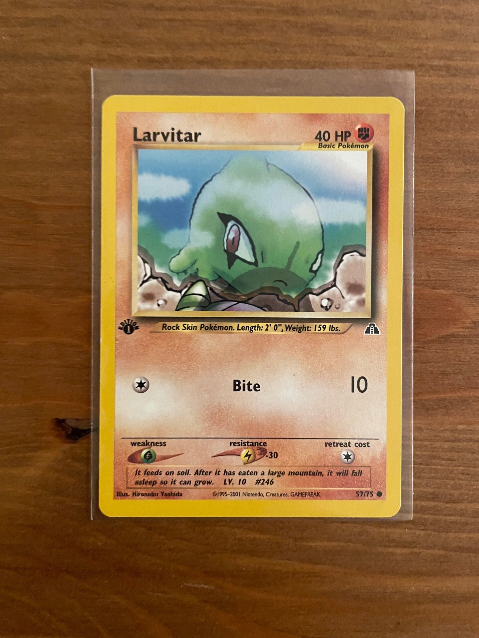 Larvitar - 57/75 - Common - 1st Edition