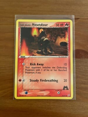Team Magma's Houndour - 63/95 - Common - Unlimited Edition