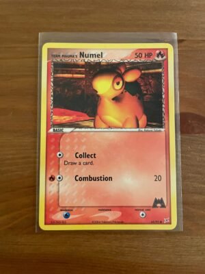 Team Magma's Numel - 64/95 - Common - Unlimited Edition