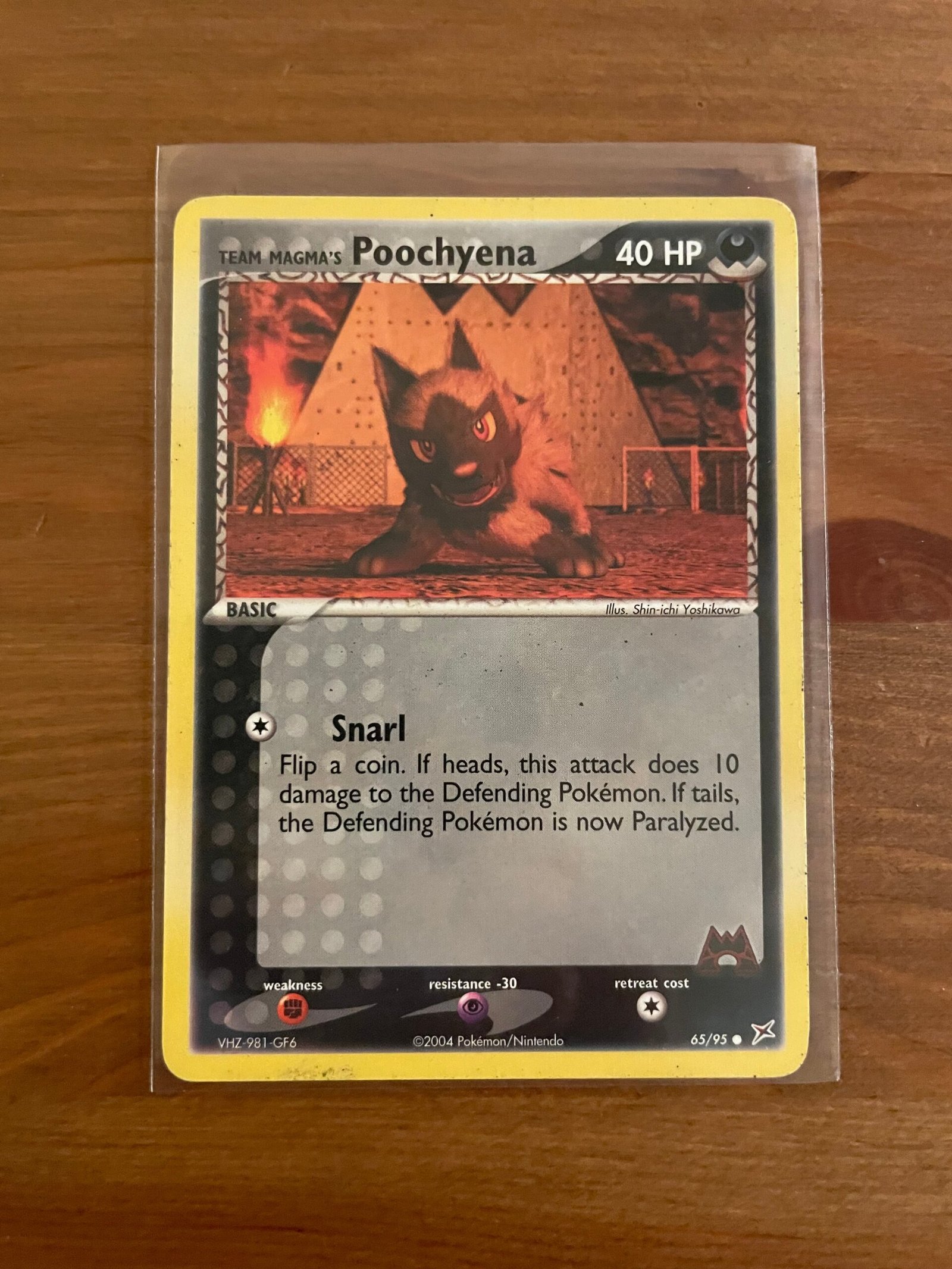 Team Magma's Poochyena - 65/95 - Common - Unlimited Edition